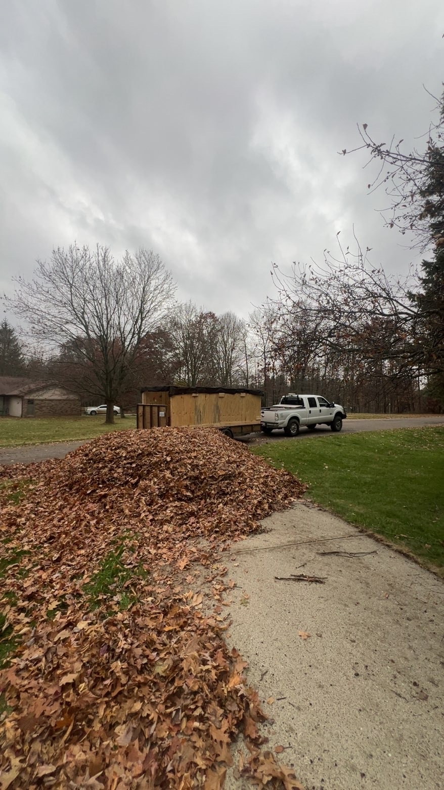 Property cleanup — Bemis Seasonal Cleanups