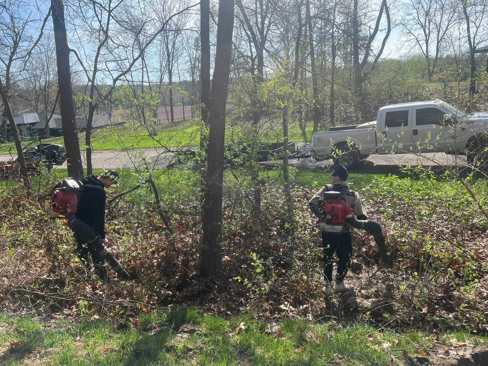 Bemis crew clearing brush and debris with backpack blowers