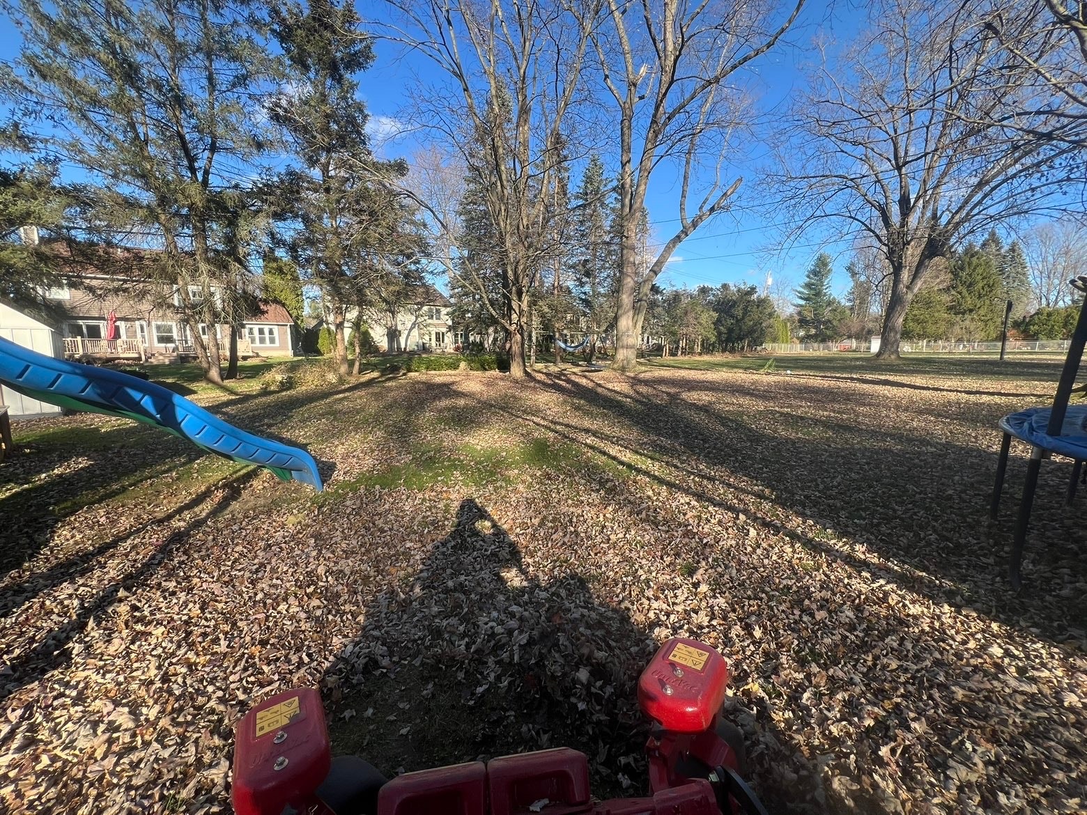 Fall leaf cleanup in progress — Bemis Lawn & Landscape