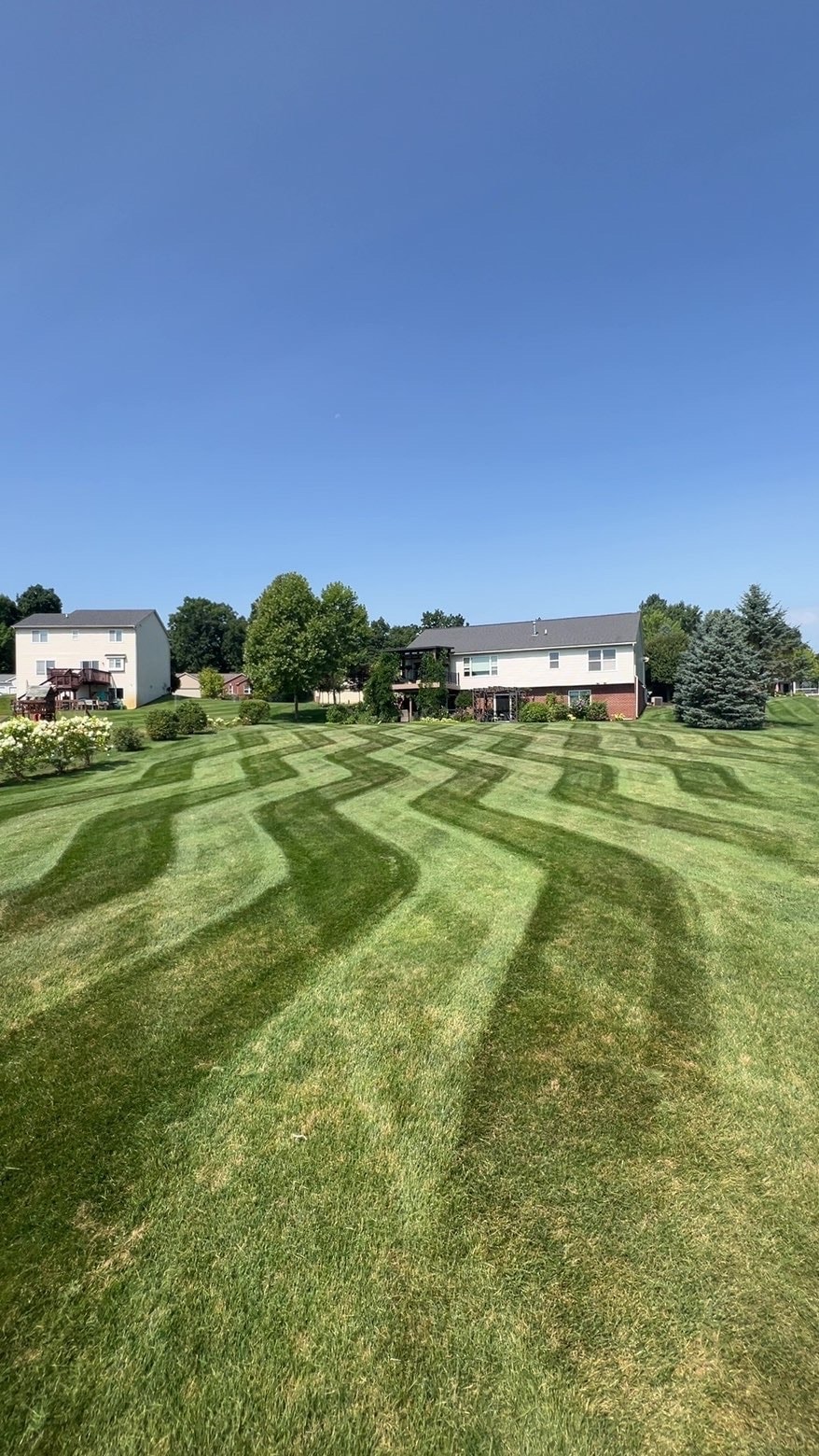 Lawn maintenance — Bemis Lawn & Landscape