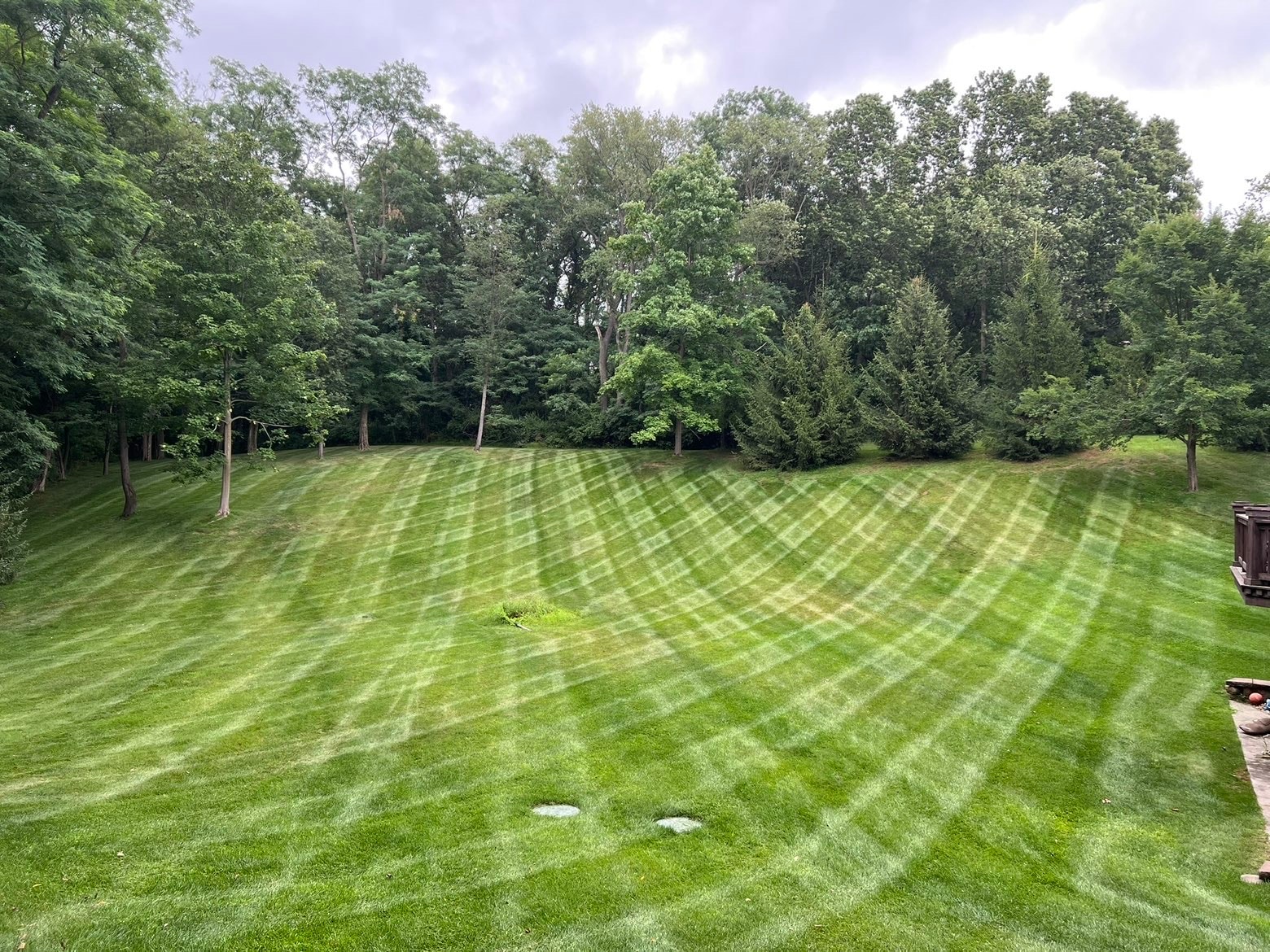 Residential lawn care — Bemis Lawn & Landscape